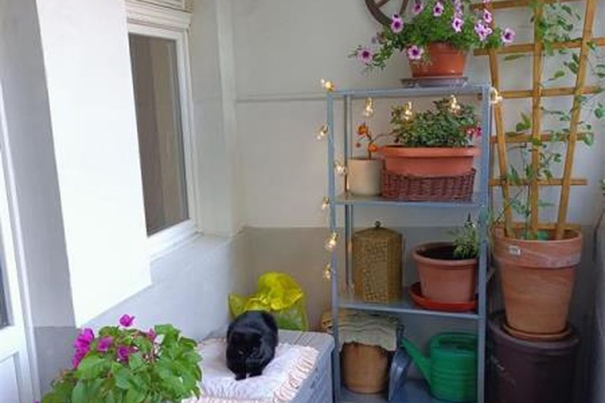 Zdjęcie do oferty EW0242 z SOPOT DOLNY